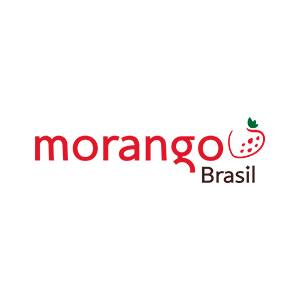 Morango Brasil